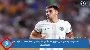 سندرلاند يحصل على جويو معاراً من تشيلسي لعام 2025.. تعرف على التفاصيل